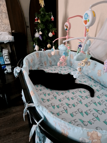 Это все мне?