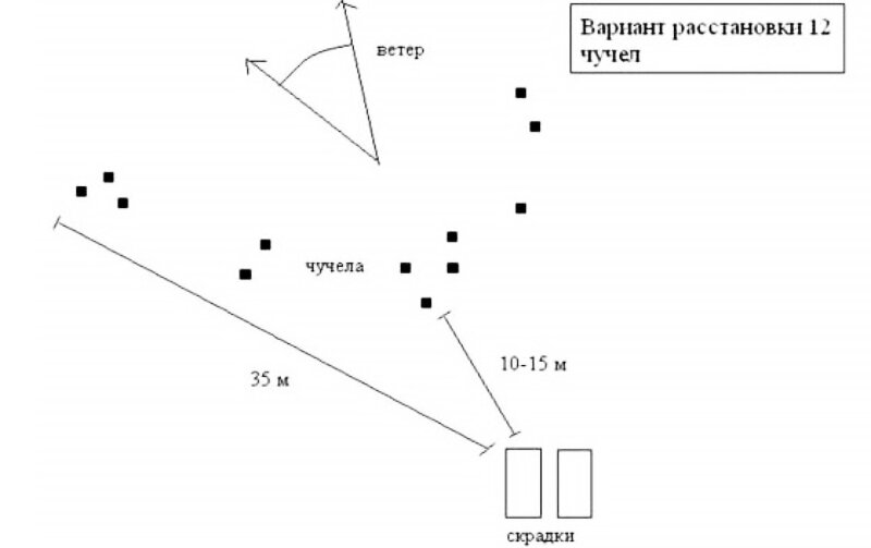 Схема расстановки чучел гусей на болоте