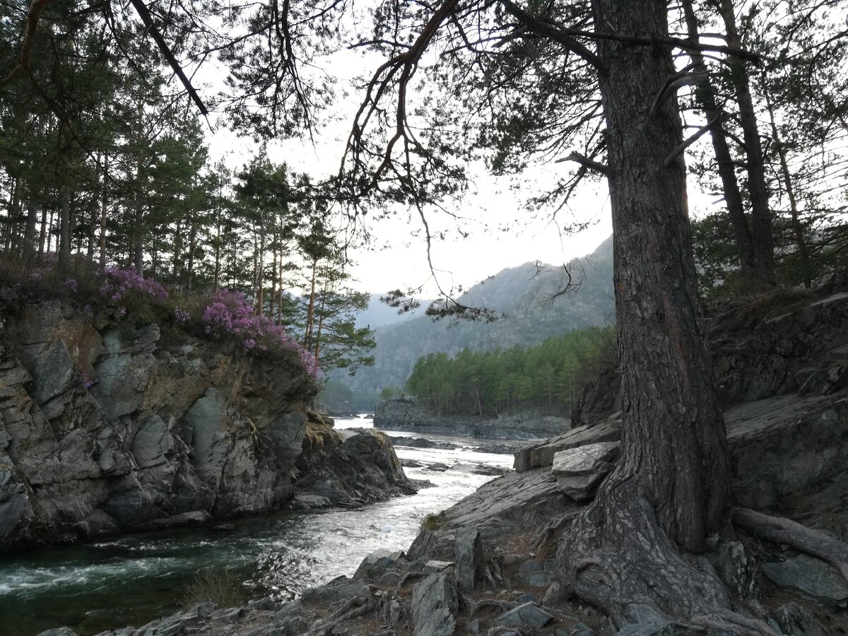 Чемальская ГЭС