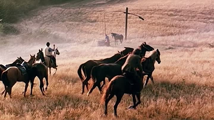 Сейчас начнется погоня