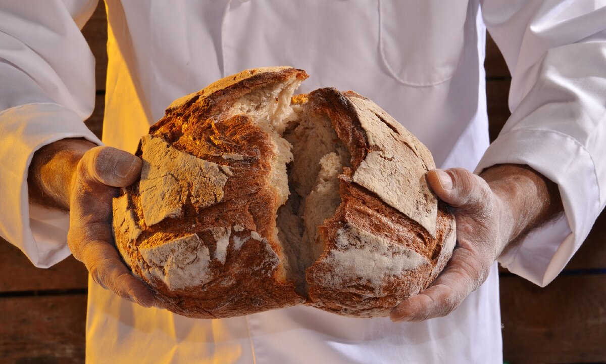 Закваска без дрожжей для хлеба в хлебопечке