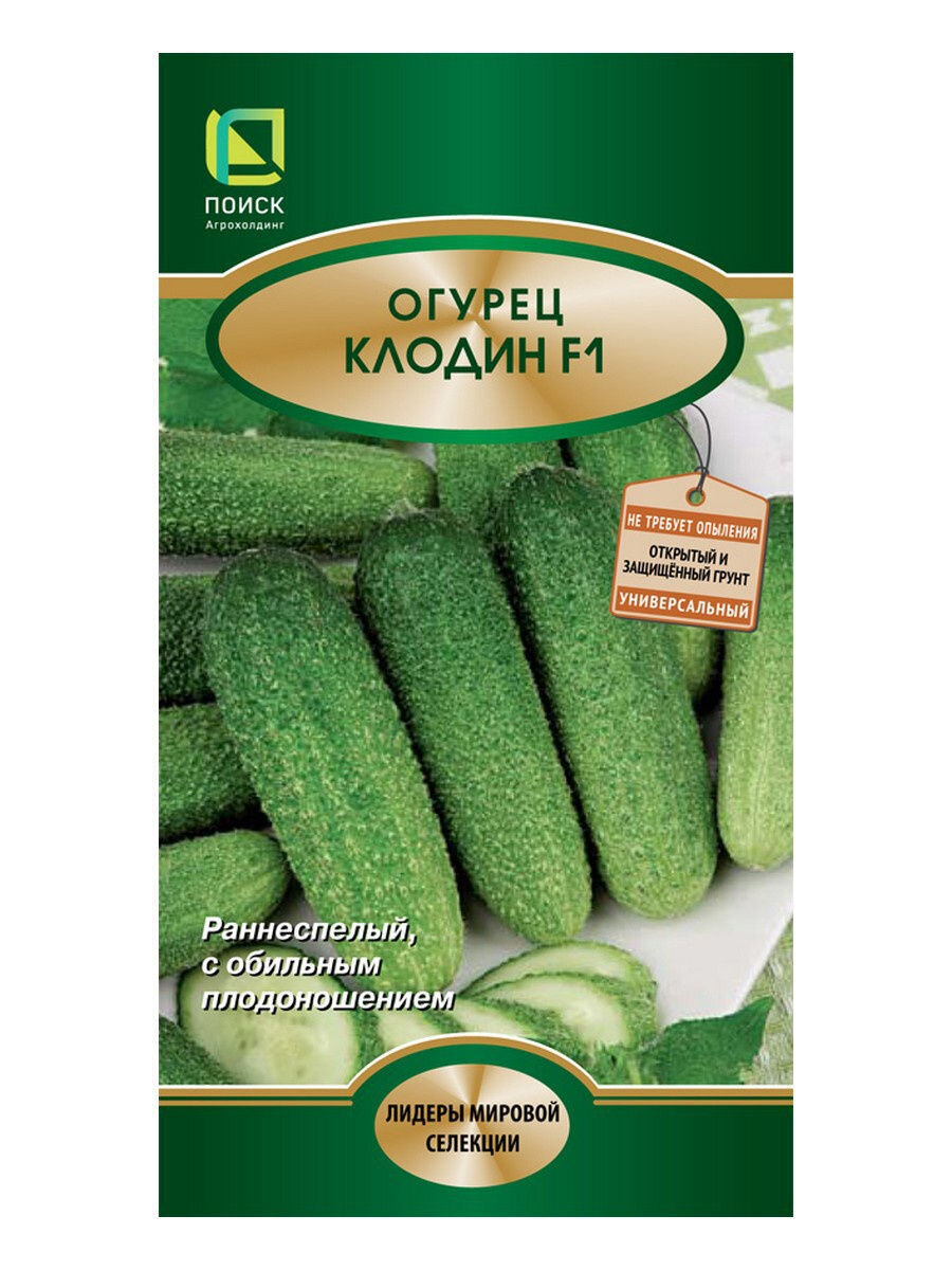 www.wildberries.ru 