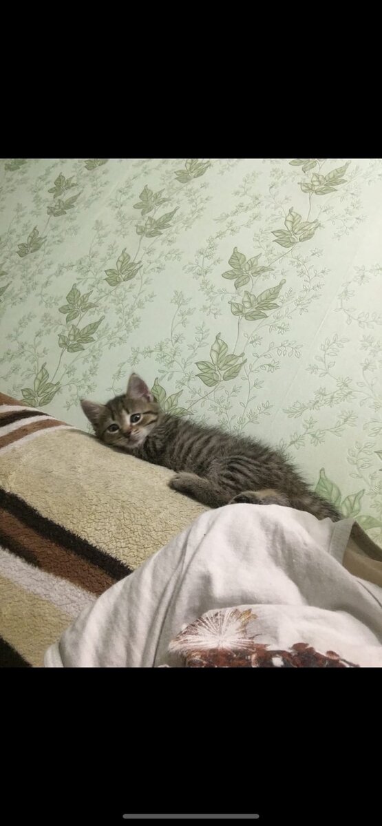Бусе 2 месяца.