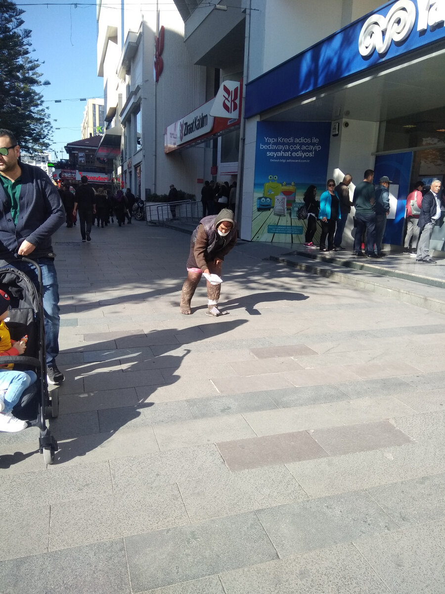 Будучи на отдыхе в Анталье, вы наверняка видели хоть одного из них