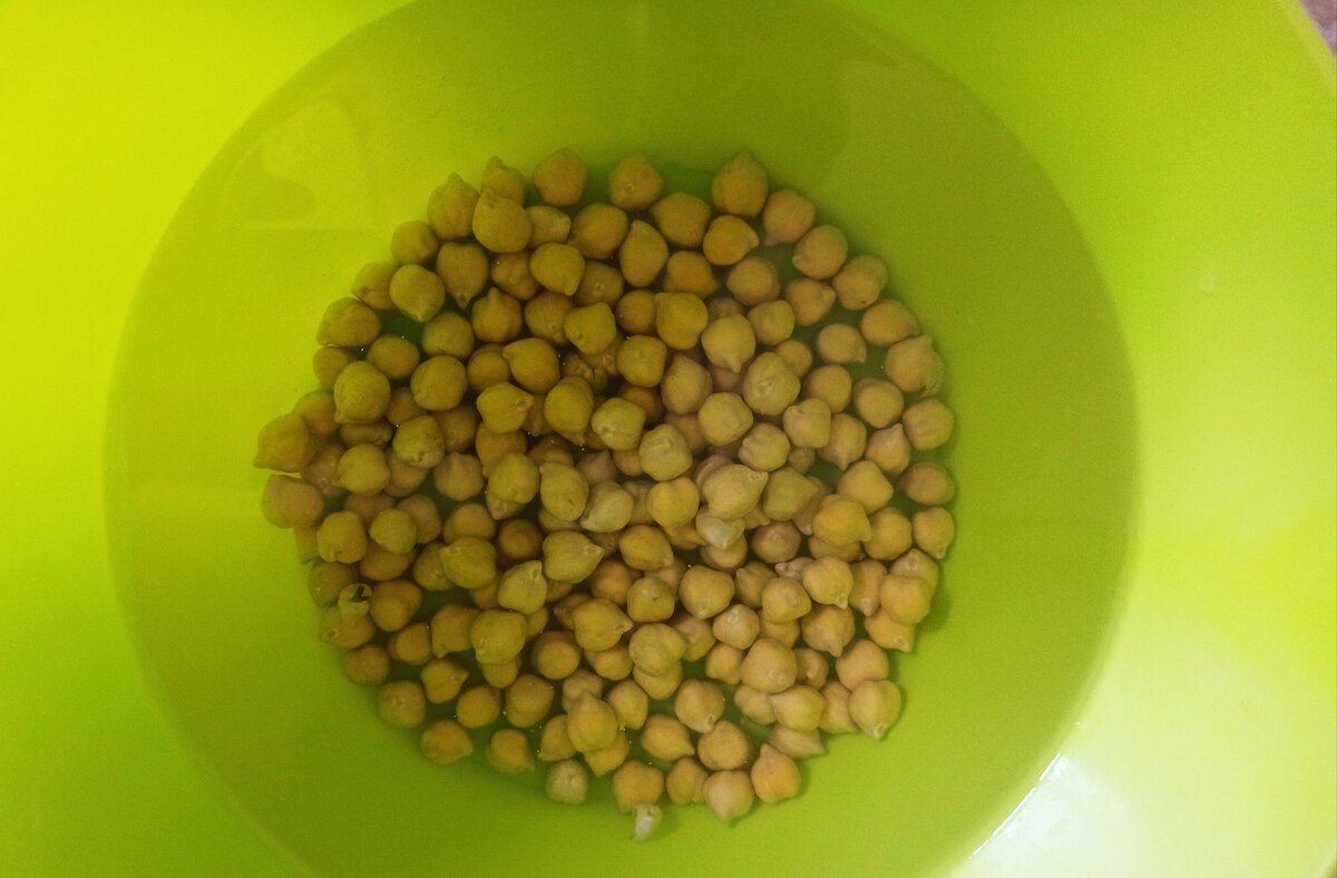 Нут, фото автора