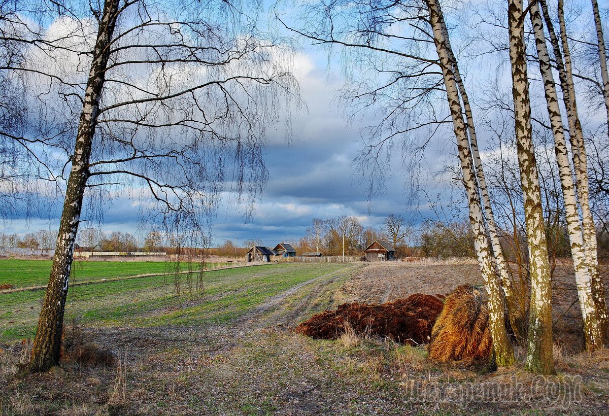Земля проснулась после зимнего сна   https://3.404content.com/1/97/00/610031340318623407/fullsize.jpg