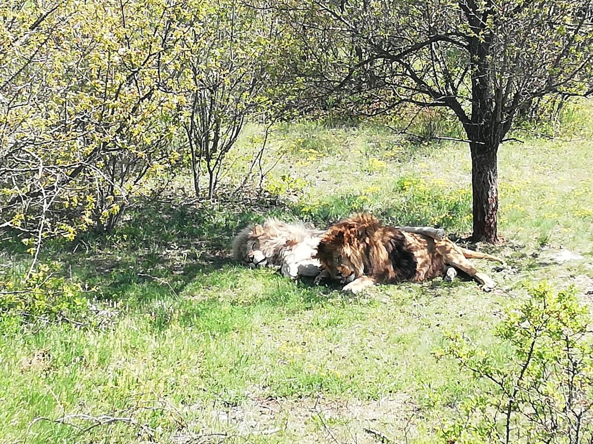 Удивительные места Крыма