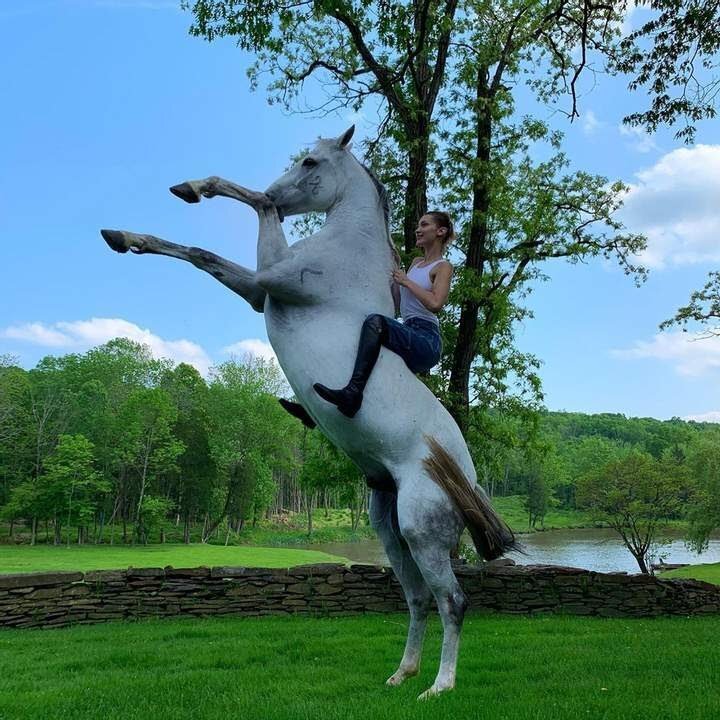 Instagram / @bellahadid