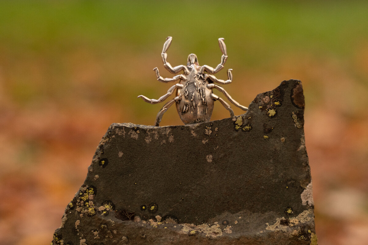 Памятник клещу в Уфе, сентябрь 2020