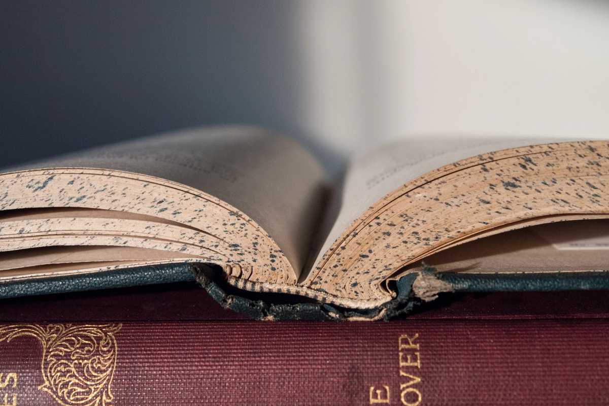 Источник: https://get.pxhere.com/photo/hand-book-read-wood-leather-vintage-home-reading-paper-page-education-research-binding-close-up-indoors-literature-study-library-text-glasses-words-learn-studying-learning-educational-information-printed-academic-intelligence-classics-wisdom-ignorance-knowledge-old-books-fashion-accessory-709689.jpg