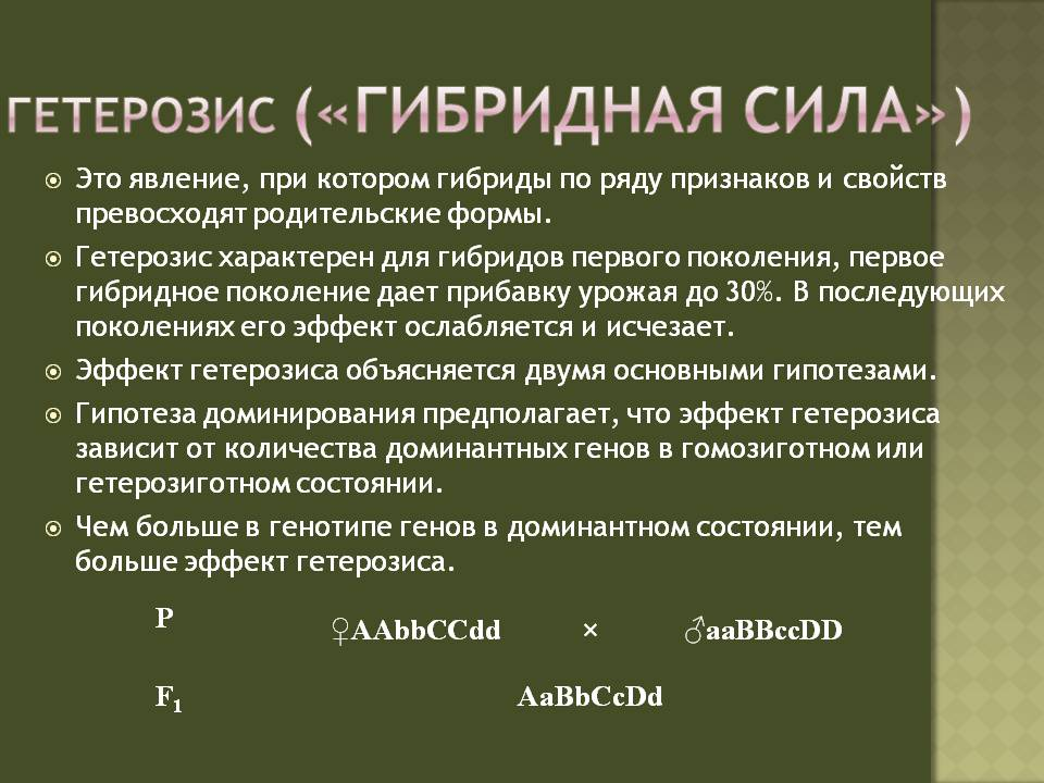 Гетерозис примеры селекции