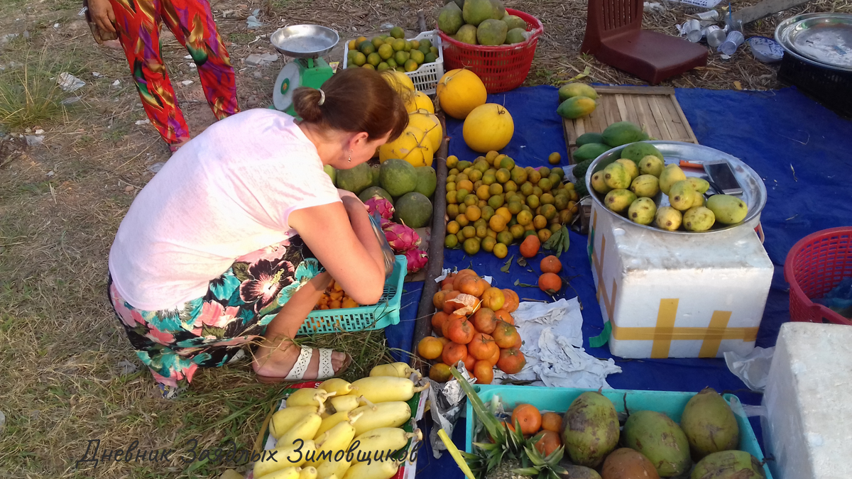 Выбираю фрукты на острове Фукуок