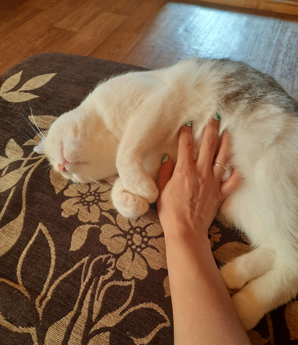Клякса на даче