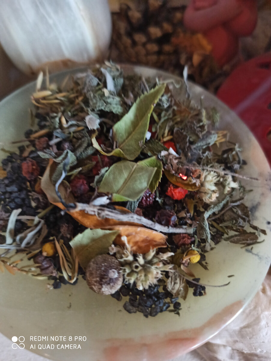 Фото автора статьи