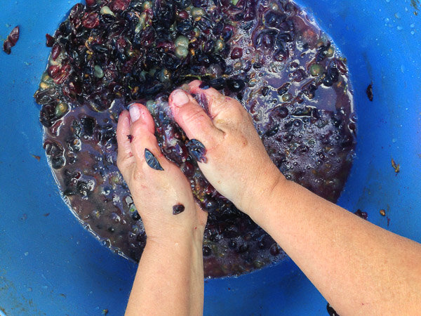 На фото: процесс ручной давки винограда.