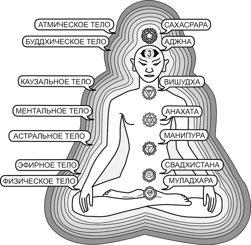 Сколько тел. Чакры энергетические центры тонких тел. Энергетические центры человека чакры и тонкие тела. Энергетические центры человека тонкие тела и физическое тело. Эфирное тело астральное тело ментальное.