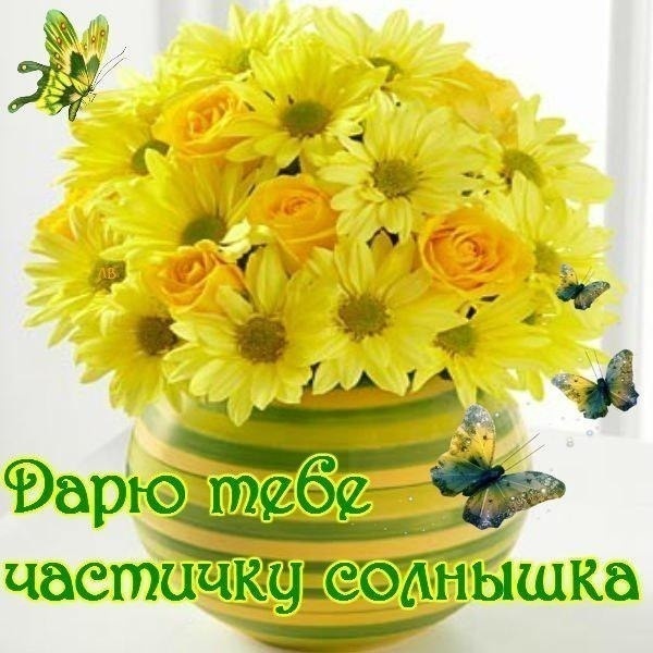 картинки Yandex