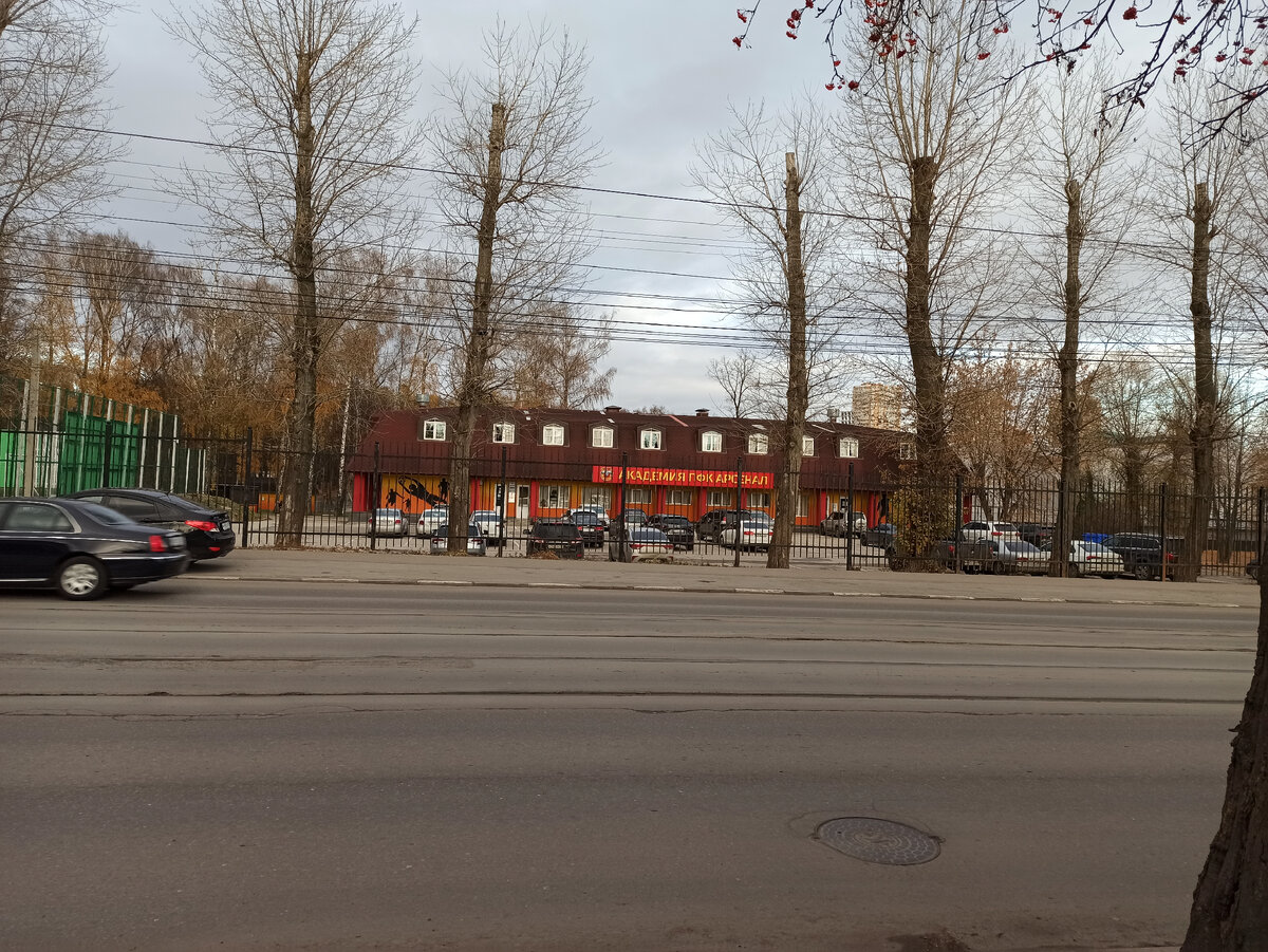 Фото автора. Ограда спорткомплекса "Арсенал"