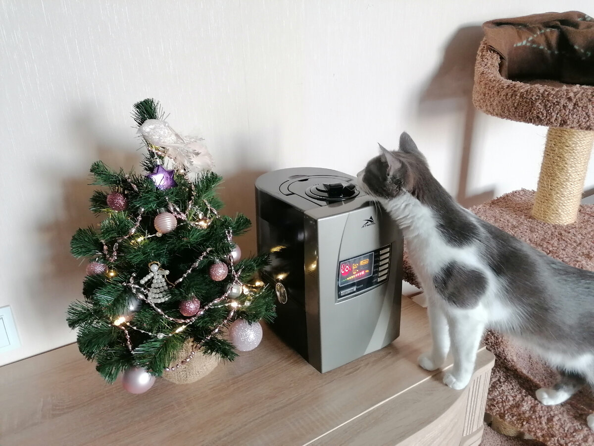 Ух ты ж, а это что? Это мне ? Играть?