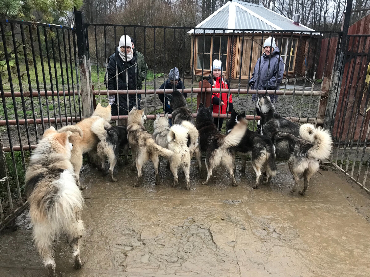 Любовь повернулась ко мне задом…