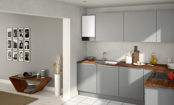 Фотография взята из интернета