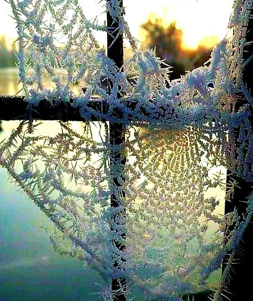 Пусть в паутине задержится все, что мешает вашему благополучию!