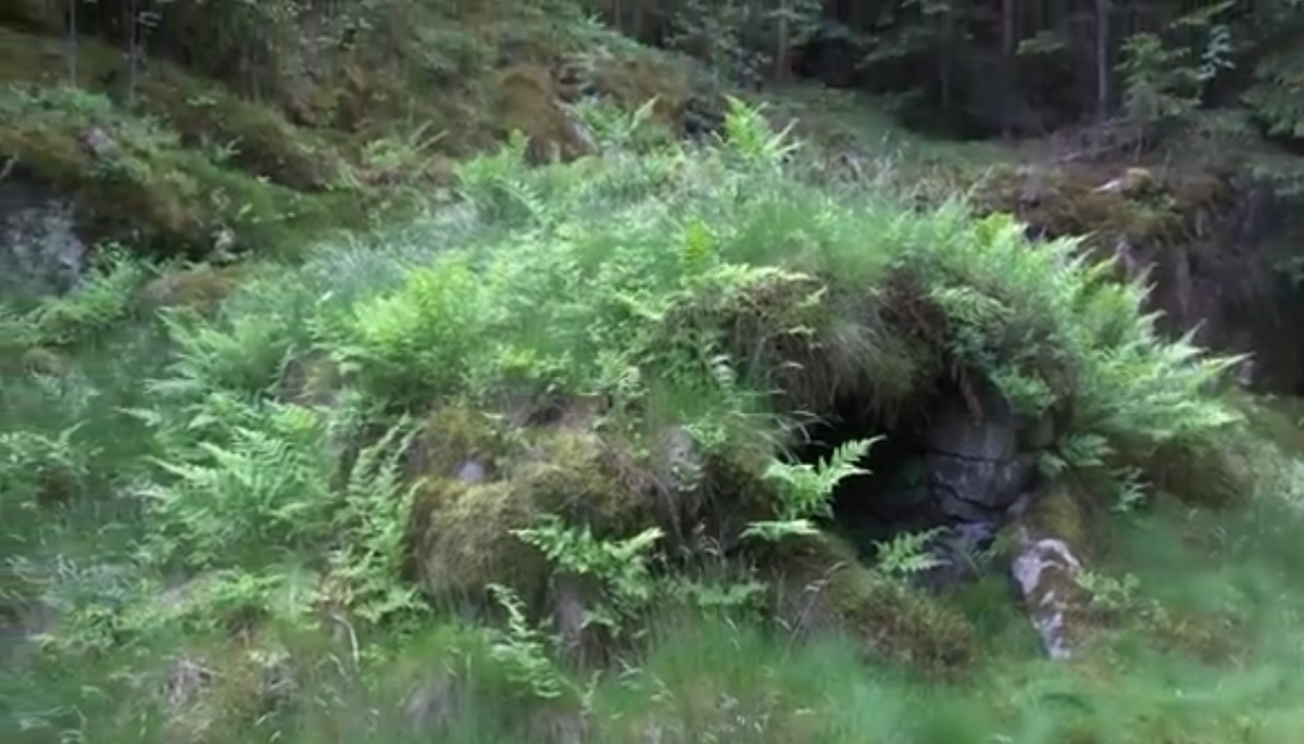 Продуктовые запасы стали хранить в земляных ямах, вдали о солнца.