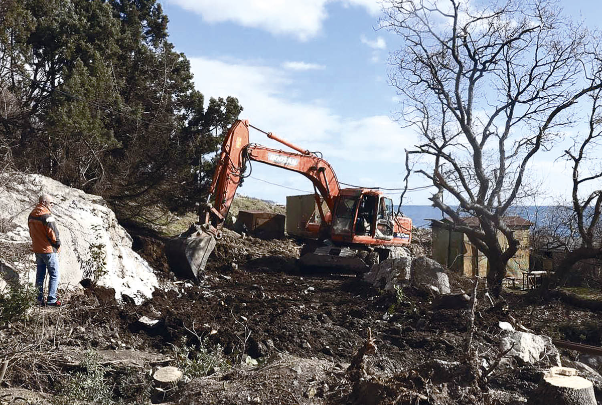 Фото: Наталья Сомова