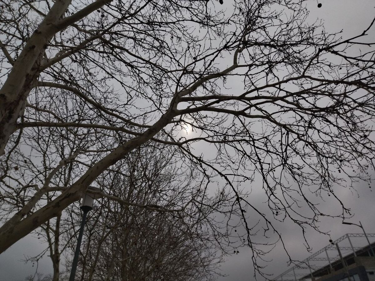 За облаками светит восмимартовское солнышко.