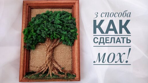 Мебель, поделки, паркет. Что еще можно сделать из березы?