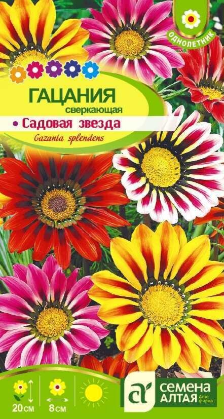 Примеры упаковок с разными выриантами написания 