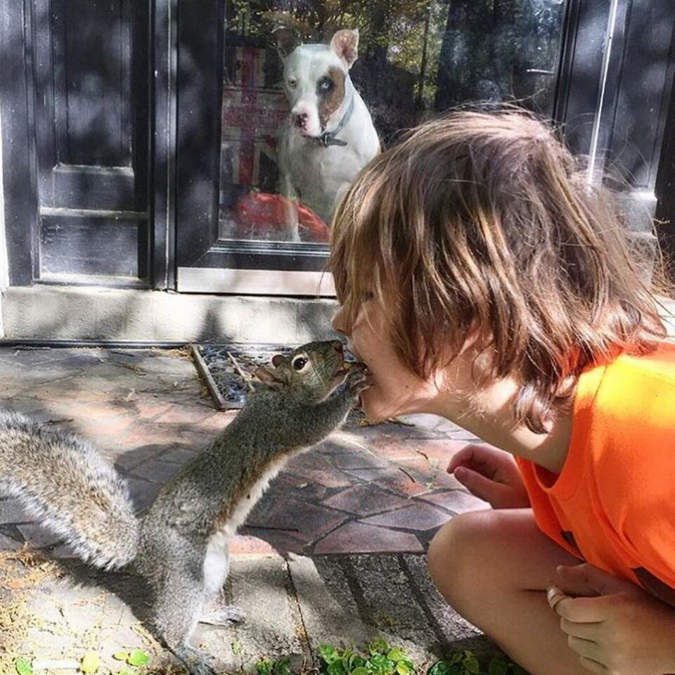 Ну кто же не любит целоваться