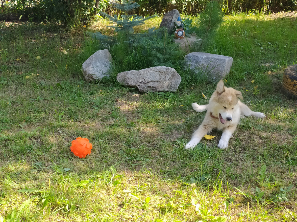 Первые дни на новом месте