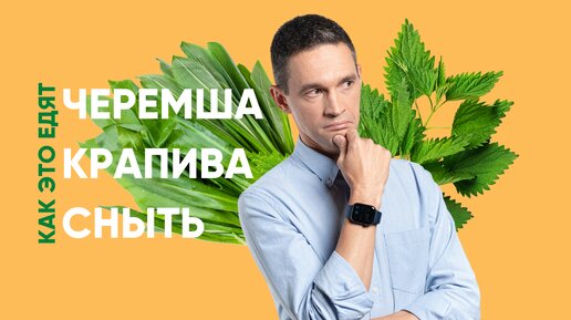 ЧЕРЕМША — что это такое и с чем ее едят | Секреты гастроботаники