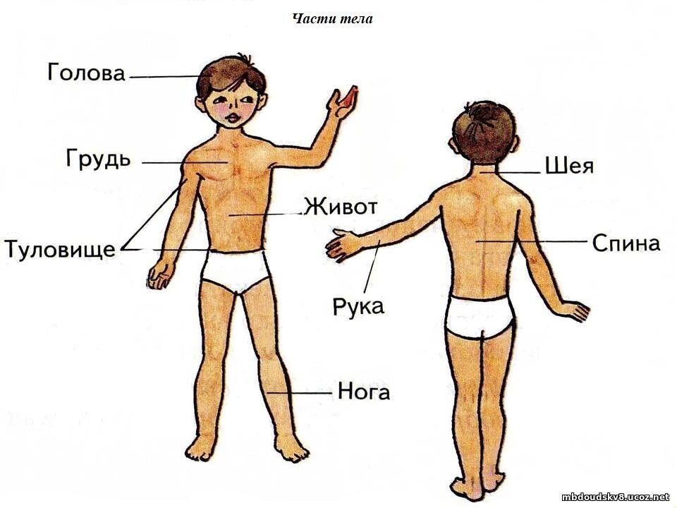 К осени — во всеоружии: % на всё