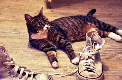 Фото из Интернета.