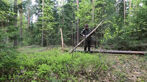 Нашел отличное место - начал стройку в лесу