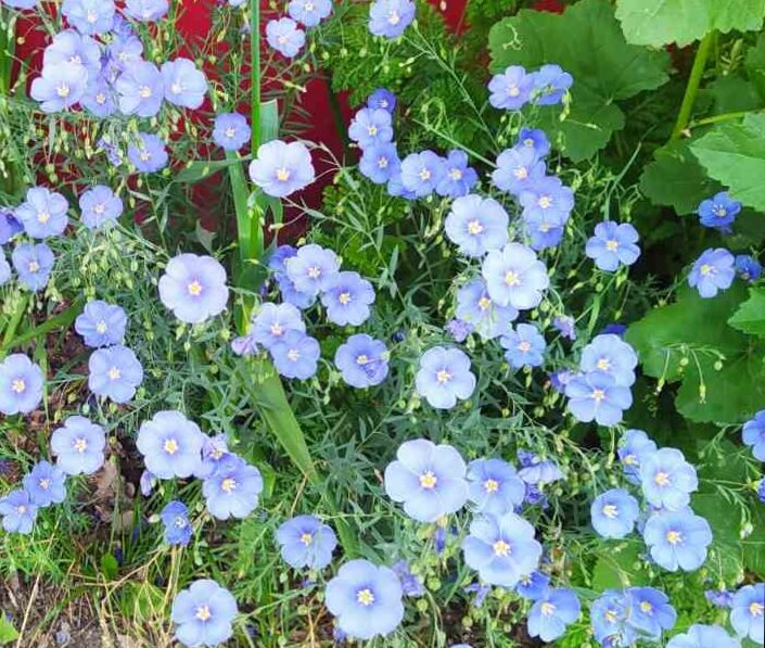 Прекрасное рядом.. Фото автора