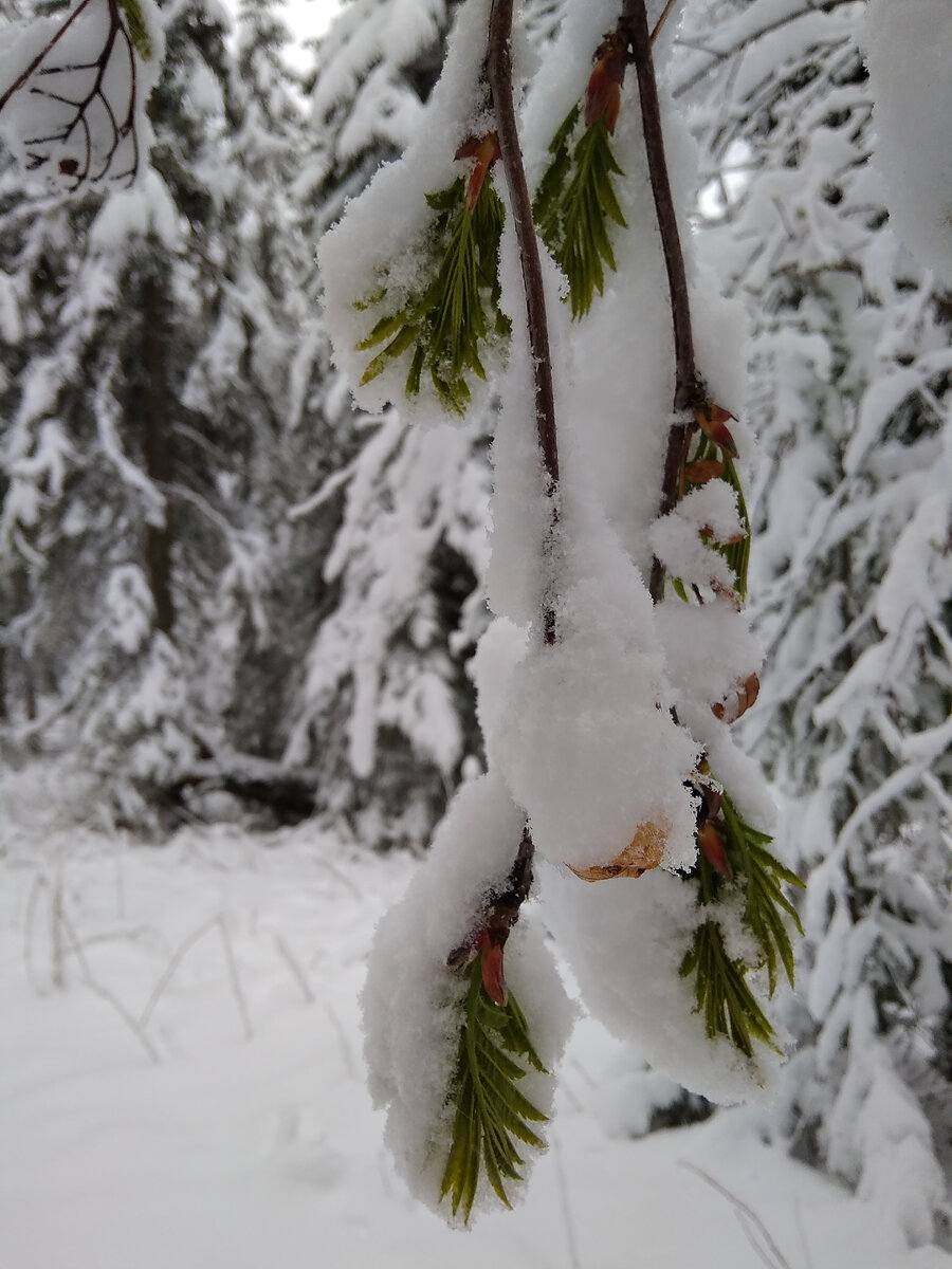 Красиво и тоскливо одновременно 