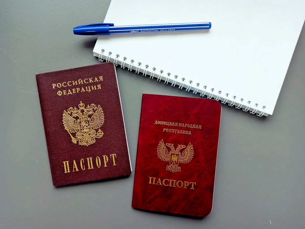 Госдума приняла закон, освобождающий граждан ДНР от уплаты пошлины при приеме в гражданство РФ