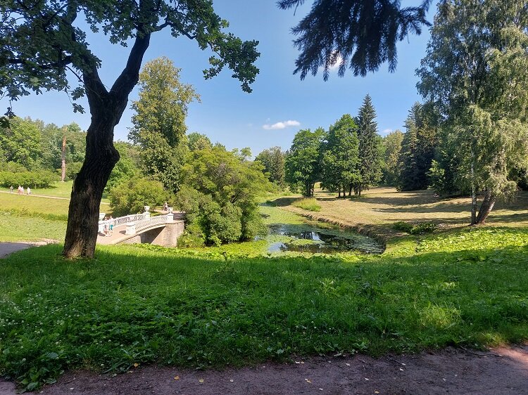 Зеленый парк павлово фото