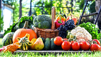 Что овощей в последний месяц лета, купить из фруктов и.