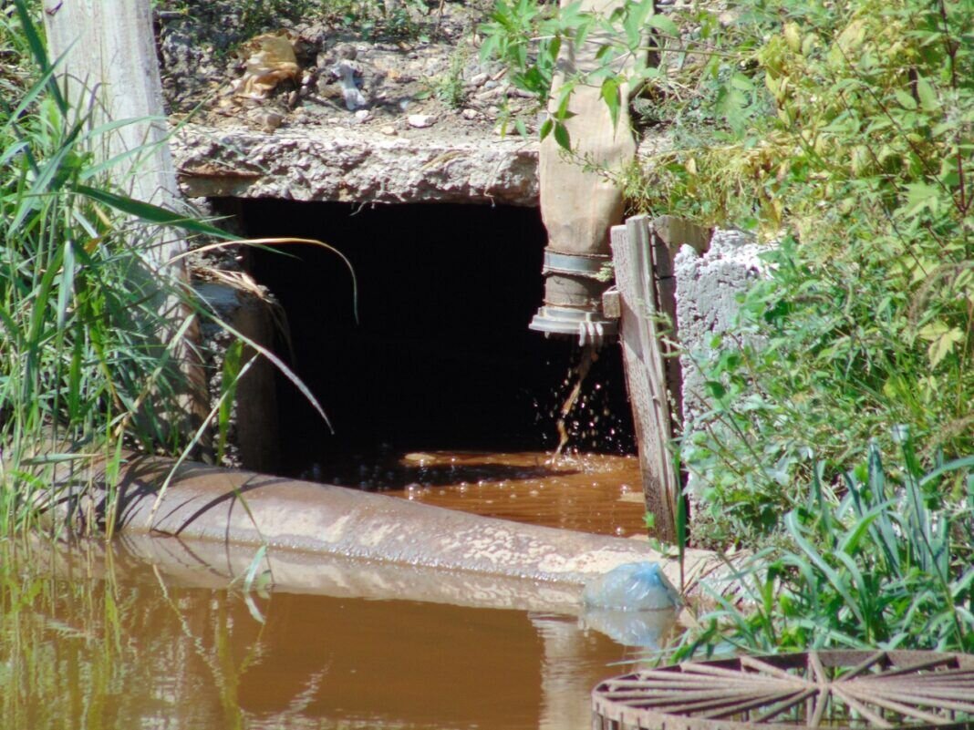    Фото Татьяны Марковой