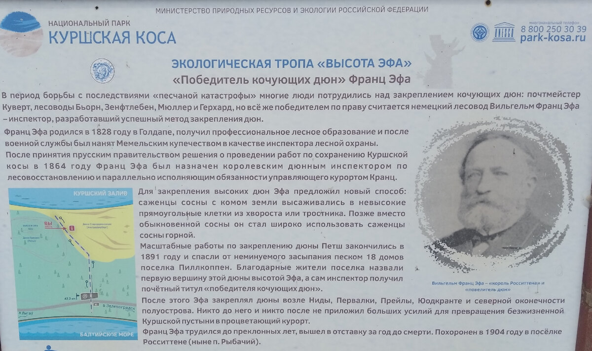 Возвращение на Куршскую косу 15 лет спустя. Делюсь тем, что не только  порадовало, но и немного огорчило. | Записки путешественника | Дзен