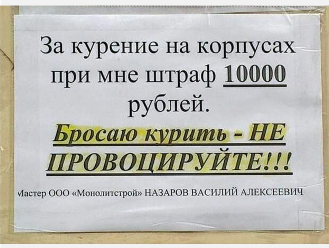 Фото из интернета 