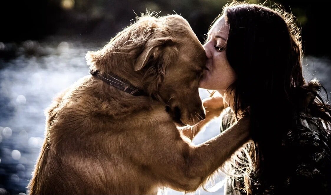 Фото из общего доступа 