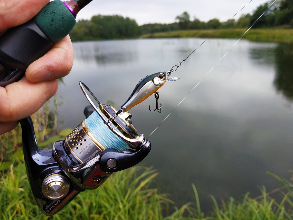 #Ловля на спиннинг летом