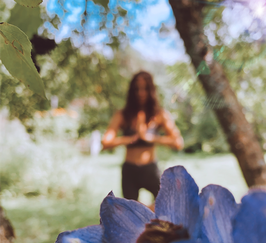 Порядок в доме =Порядок в голове