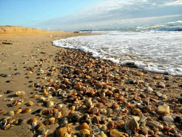 Яндекс.картинки