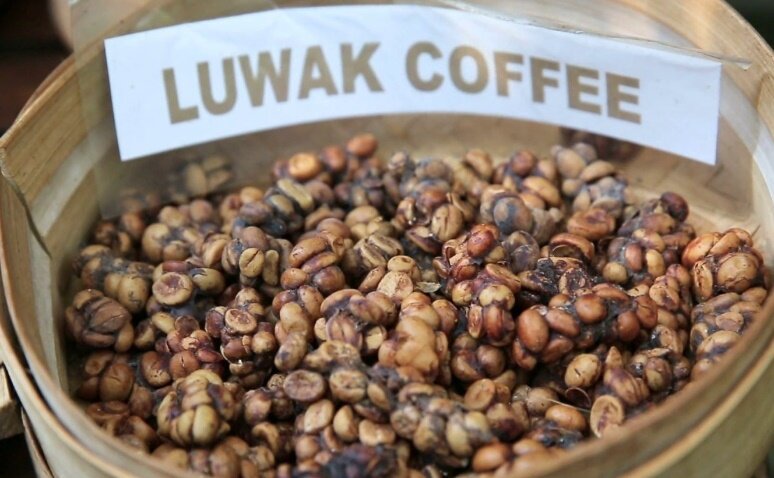 Фото: fotocdn.net